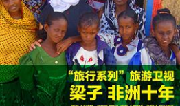 非洲十年,崛起与挑战的交响曲